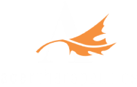 Acer therapeutics Logo